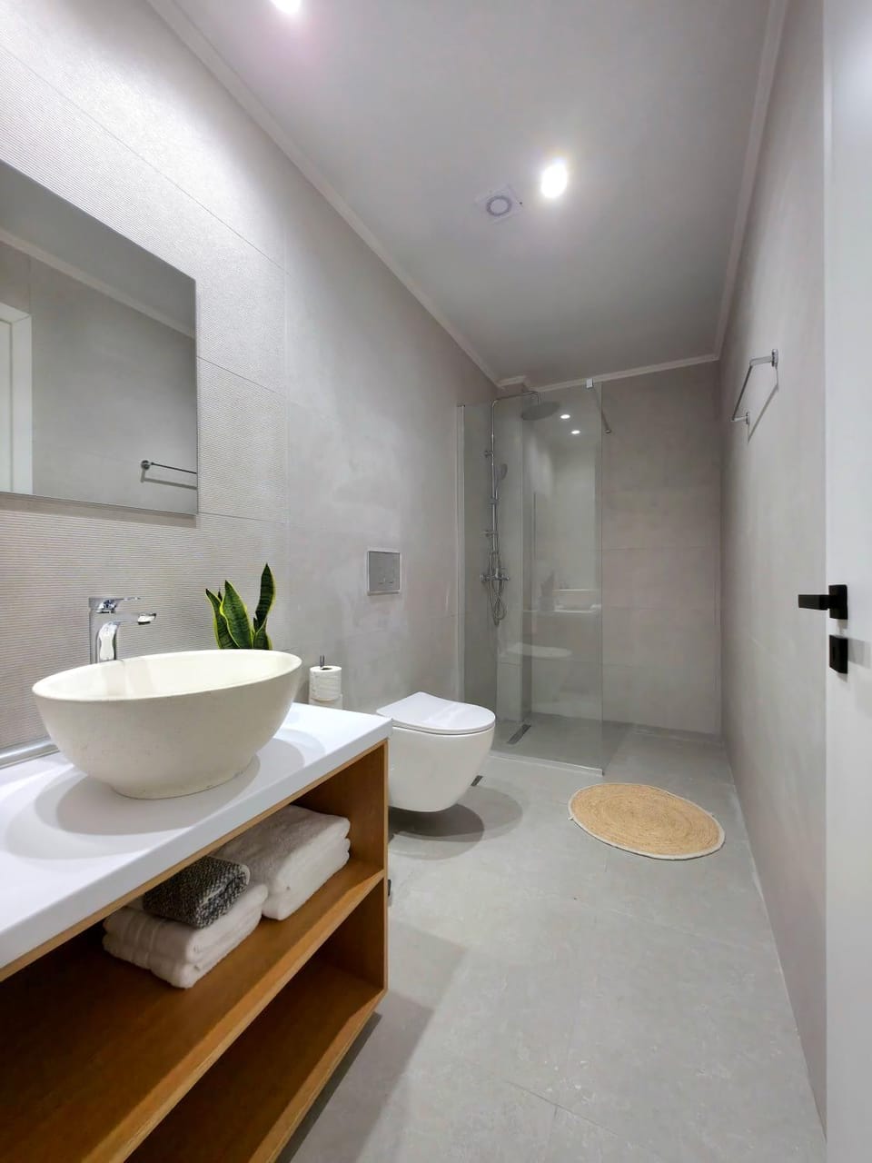 Shower, Toilet, Bathroom, towels