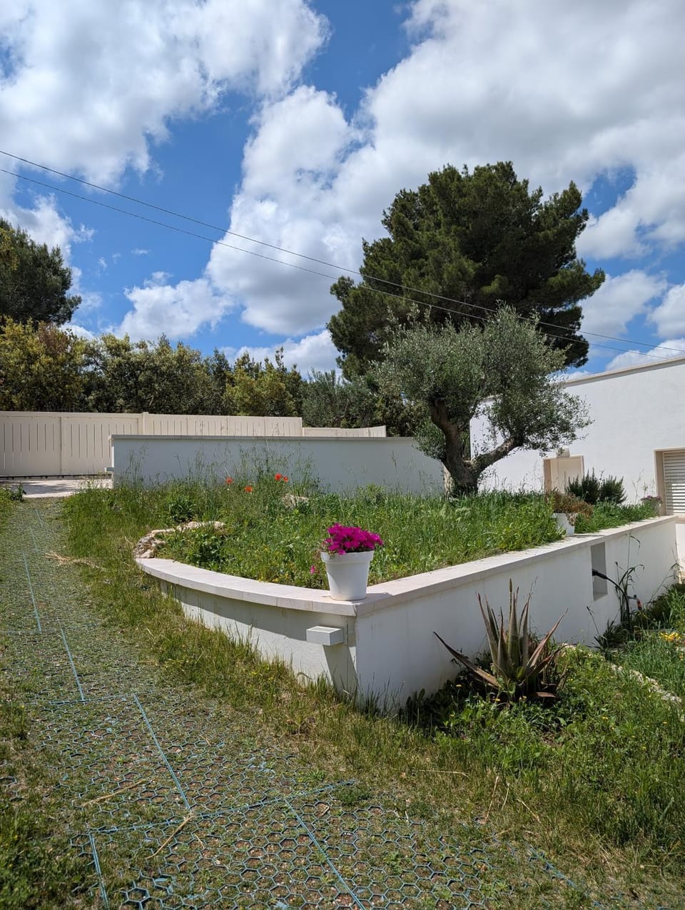 Day, Garden, Garden view