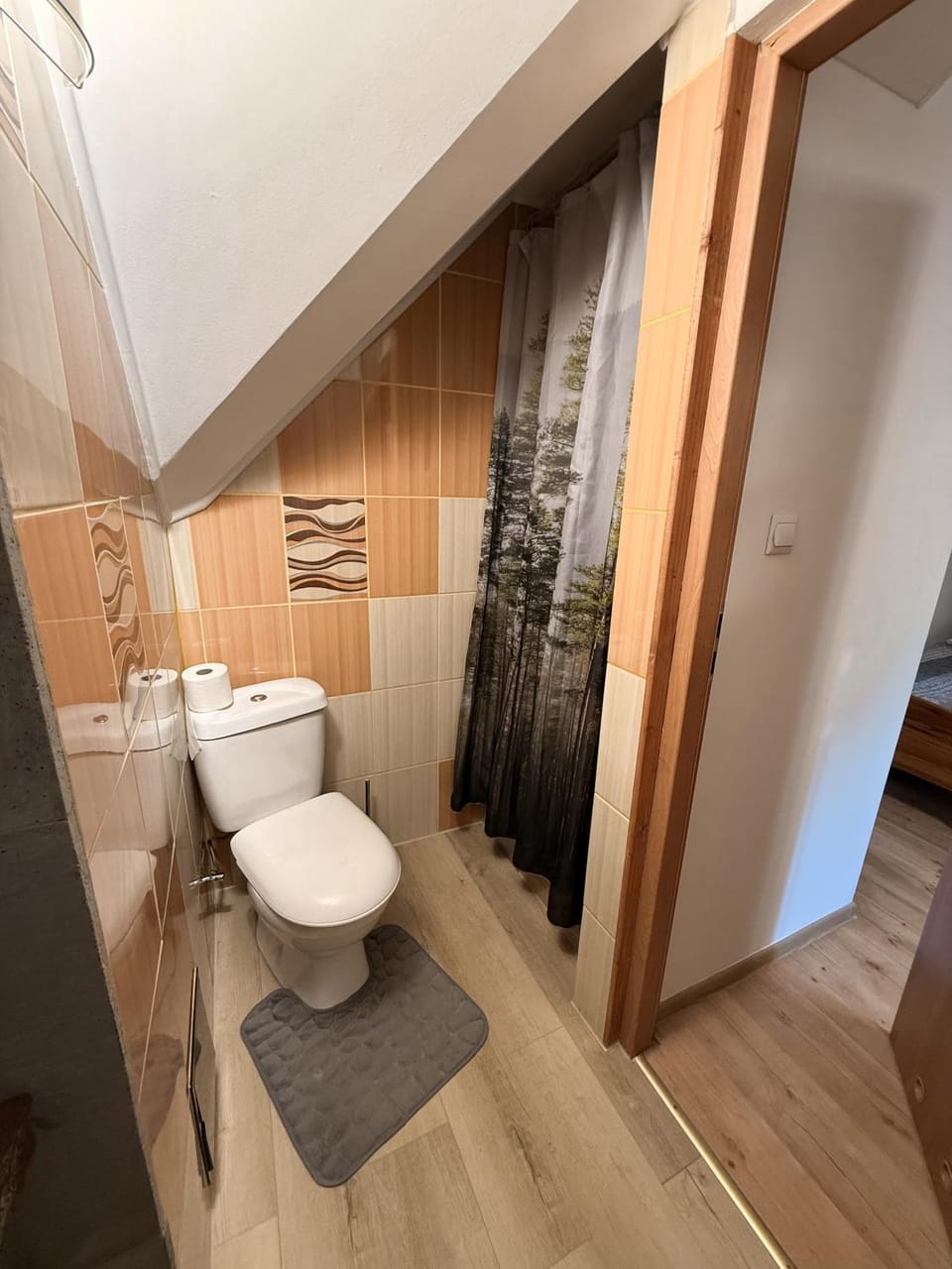 Toilet, Bathroom