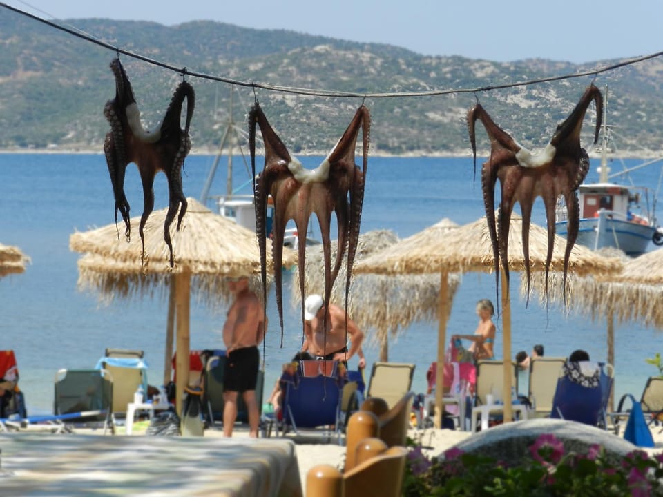 Nefeli Studios Apartment in Halkidiki