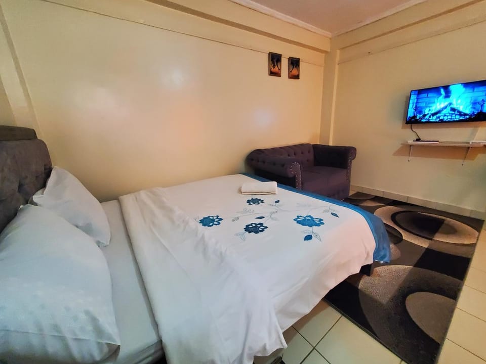 Truenest spacious Studio Apartment in Nairobi