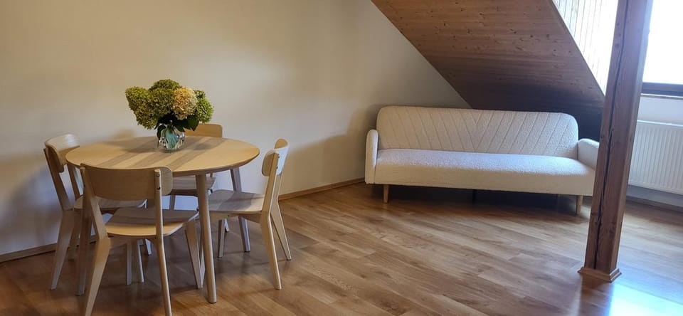 Podkrovní byt v centru Litomyšle Apartment in Czechia