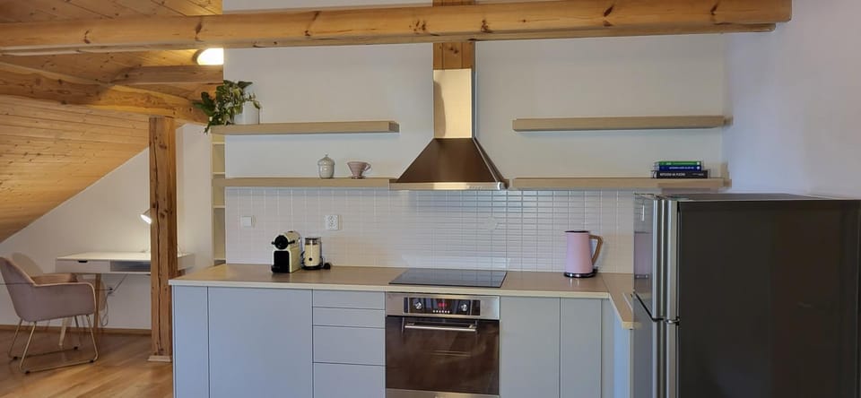 Podkrovní byt v centru Litomyšle Apartment in Czechia
