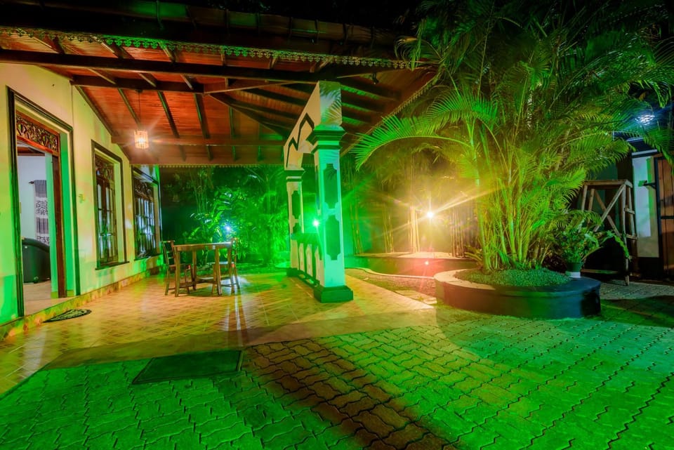 Night, Garden, Garden view