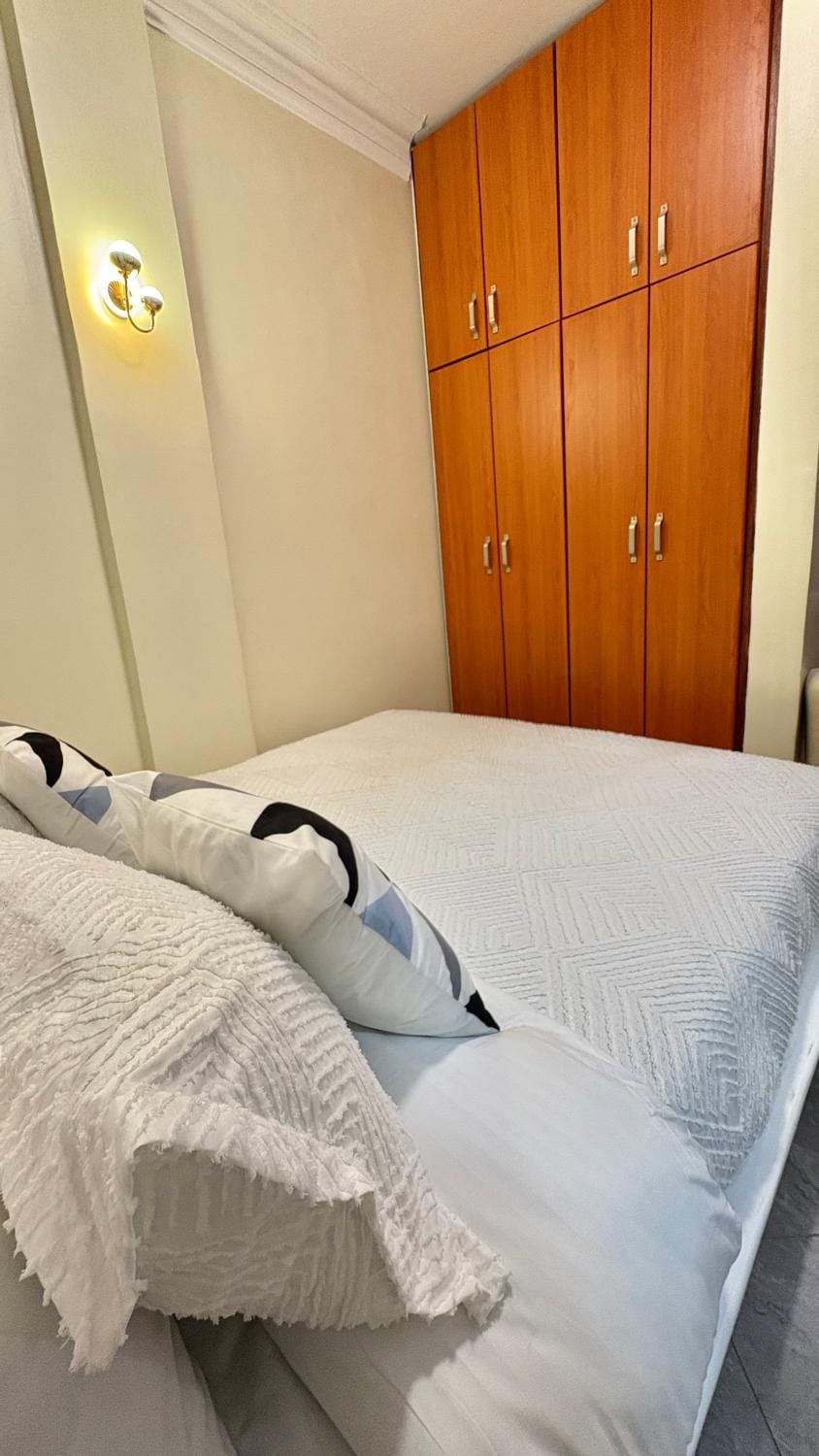 Tizzy Furnished Homes Apartment in Kampala