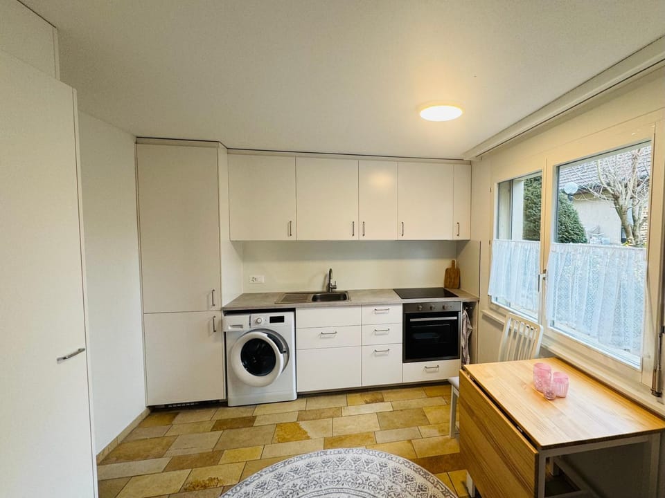 Bright furnished Studio with workspace and garden area near Zurich Apartment in Canton of Zurich