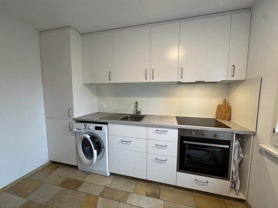 Bright furnished Studio with workspace and garden area near Zurich Apartment in Canton of Zurich