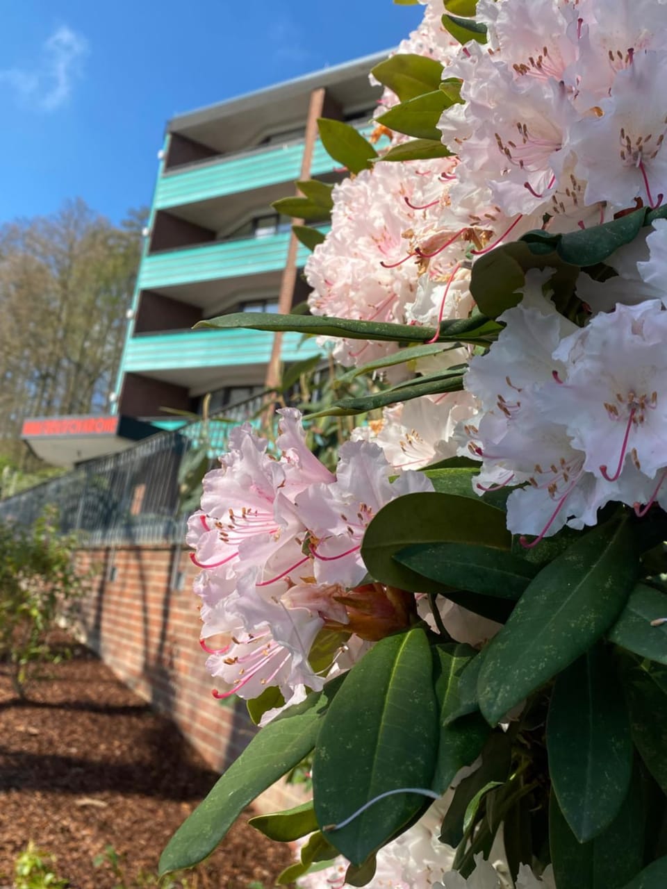 Property building, Spring, Day, Garden, Garden view