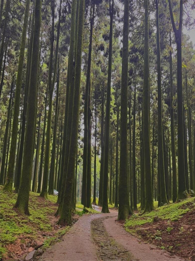 Natural landscape