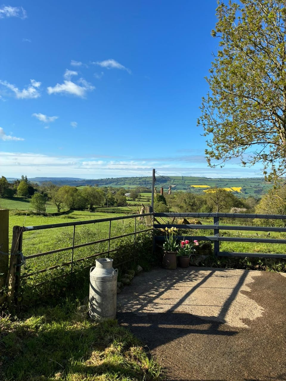 View (from property/room)