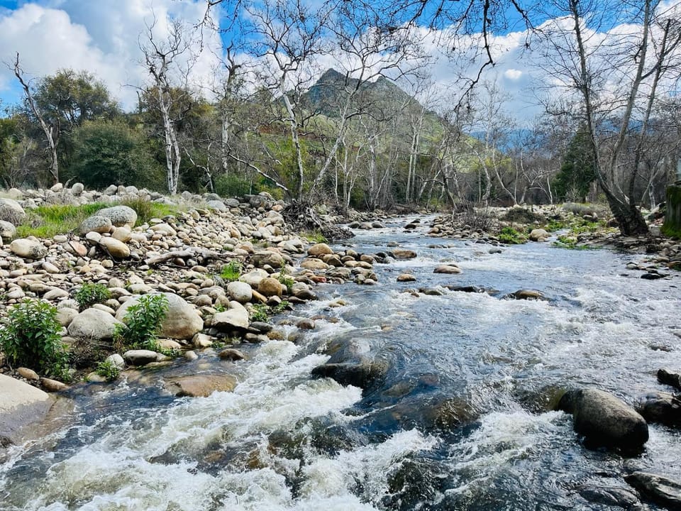 Riverfront with EV charger - Sequoia River Cottage House in Three Rivers
