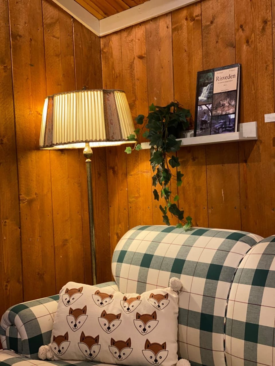 Living room, Decorative detail, Seating area