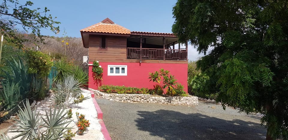 Property building, Garden view