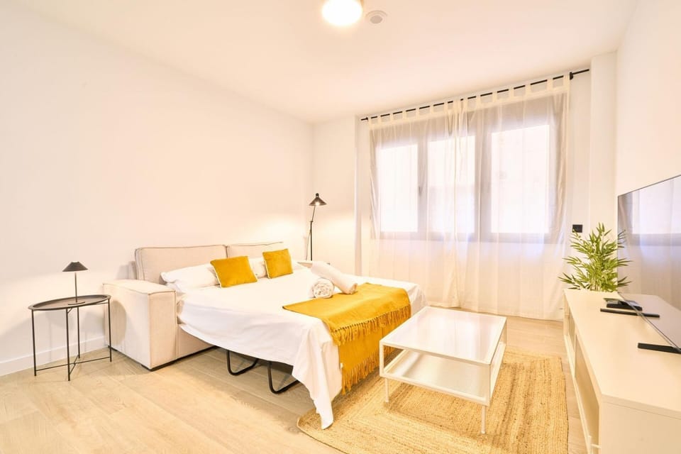 Suite Cañizal 32 Centro Universidad Salamanca Apartment in Salamanca