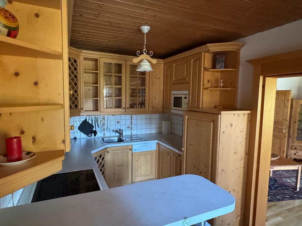Kitchen or kitchenette, dishwasher, stove