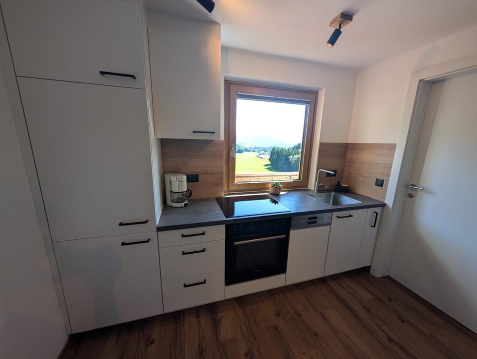 Kitchen or kitchenette, kitchen