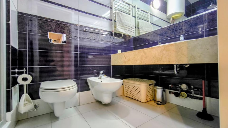 Shower, Toilet, bidet, towels
