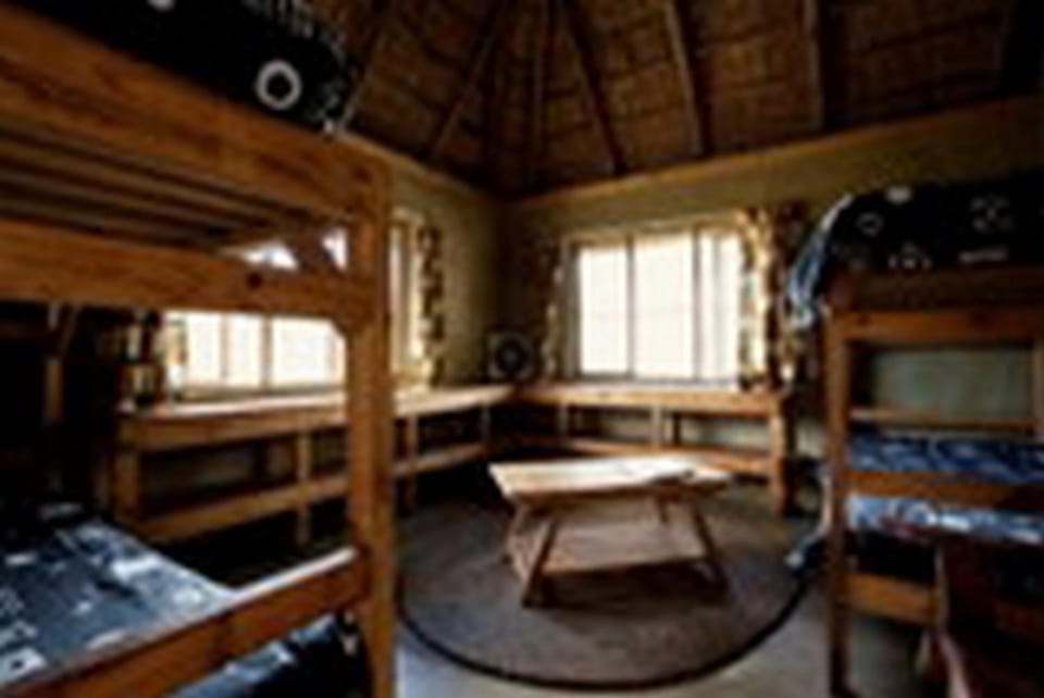 Bedroom, bunk bed
