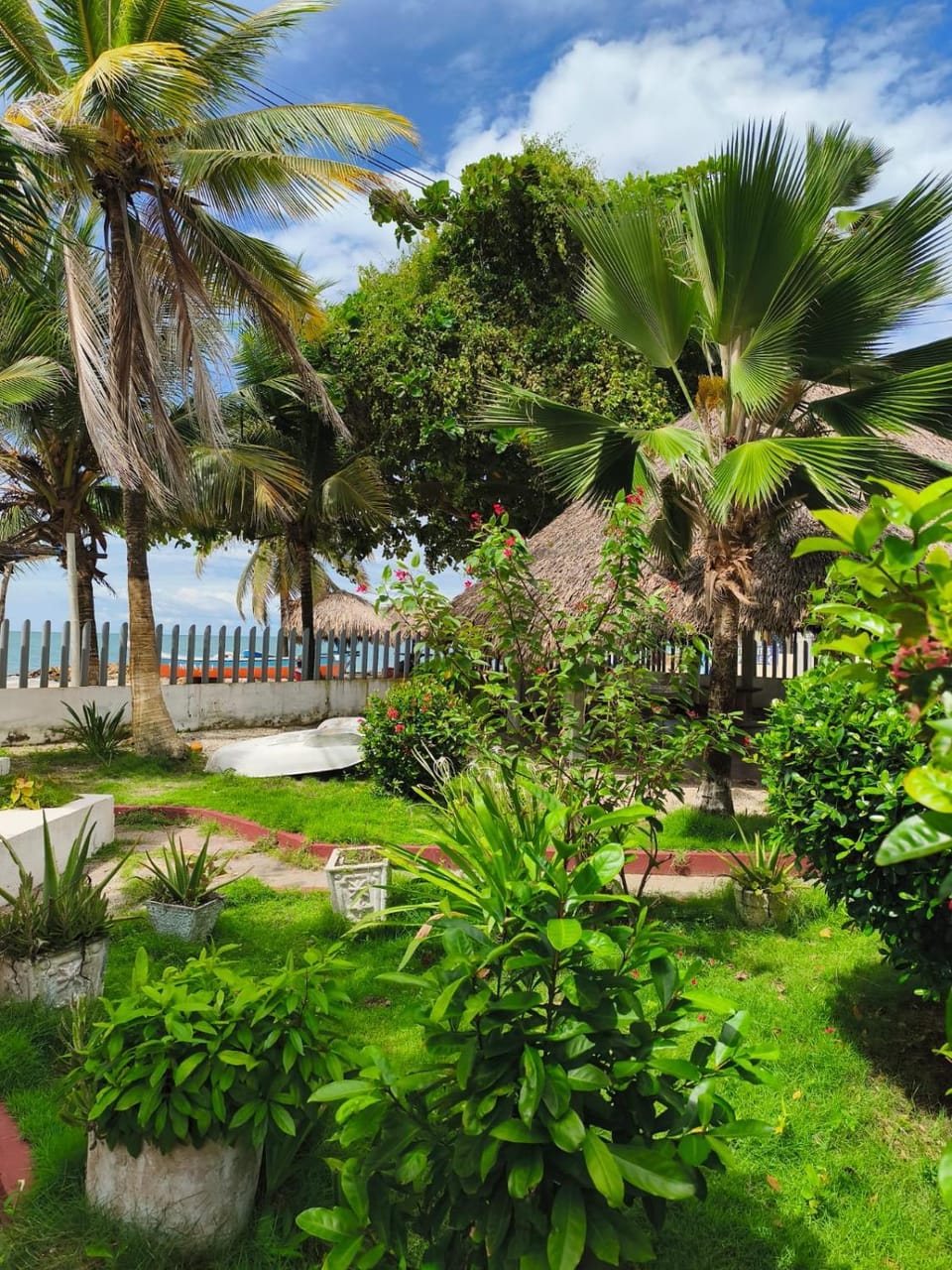 Las Margaritas Frente al Mar 1 Apartment in Sagoc