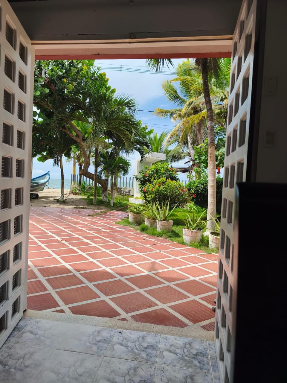 Garden view