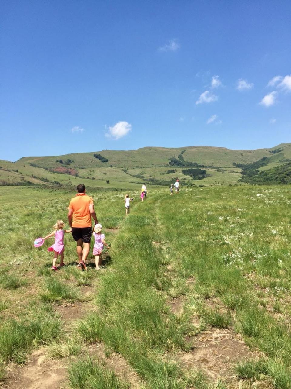 Natural landscape, group of guests, Family