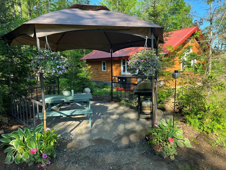 Adirondack Trailside Cabin Cabin in Capital District, NY, USA