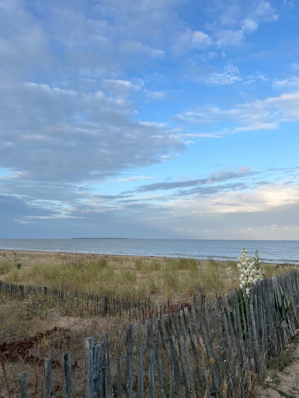 Natural landscape, Beach, Sea view