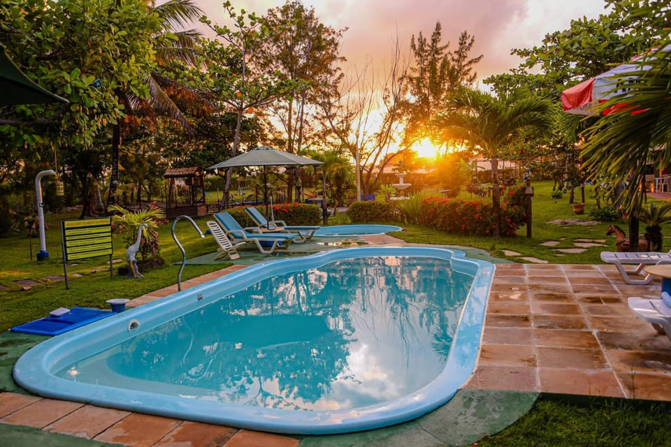 Garden, Pool view, Swimming pool, Sunset