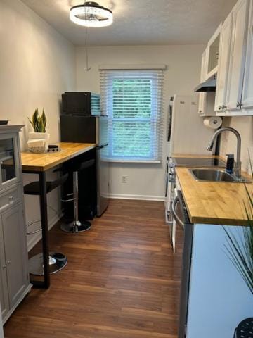 Kitchen or kitchenette, Dining area, dishwasher, oven, stove