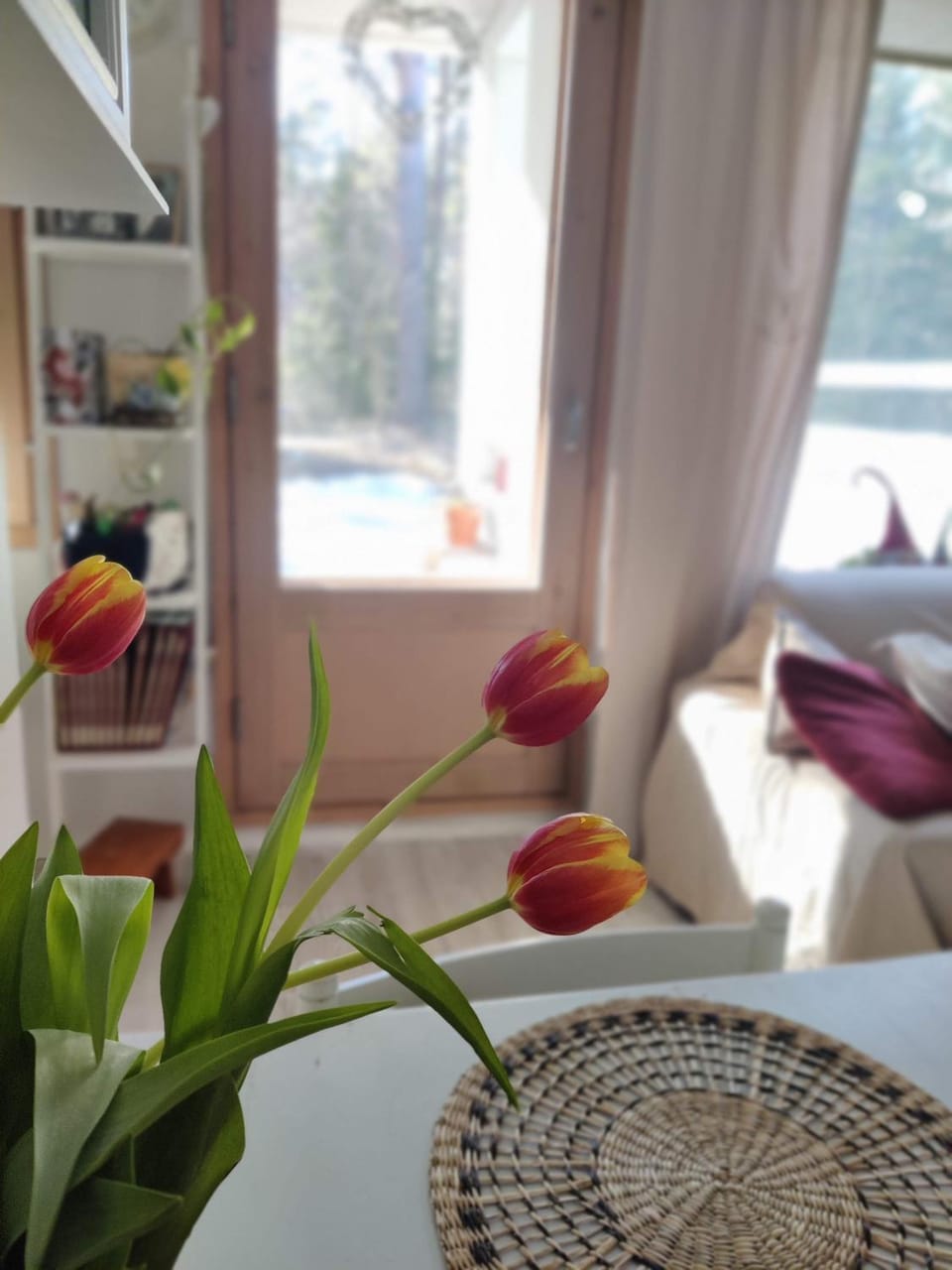 Garden, Garden view