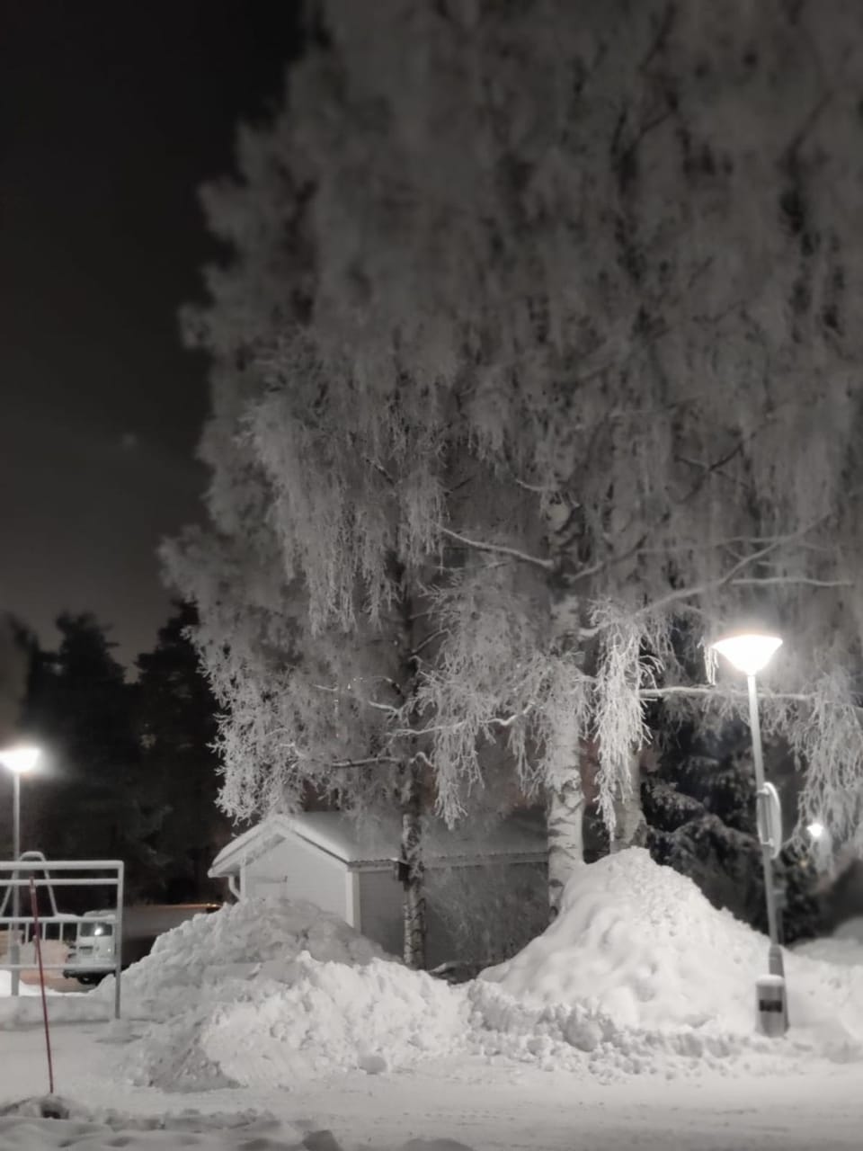 Winter