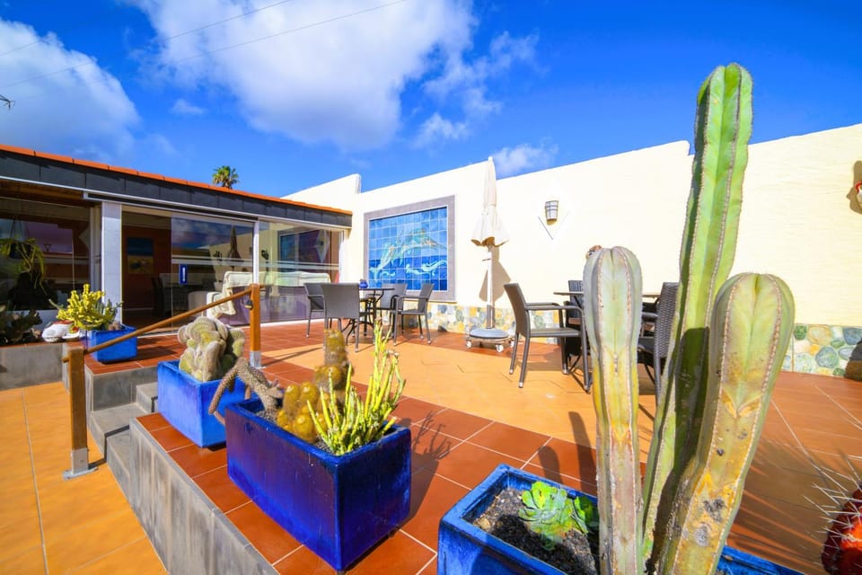 Patio, Communal lounge/ TV room, Day, Balcony/Terrace, Lounge or bar, Dining area