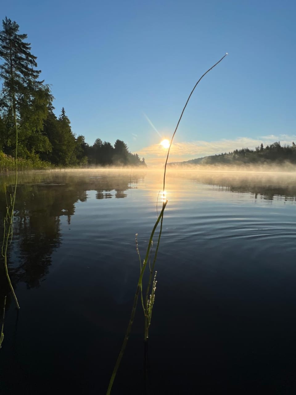 Lake view, Sunrise