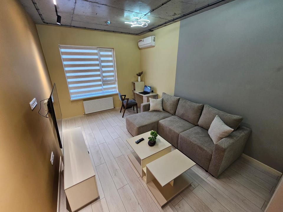 TV and multimedia, Living room, Seating area, air conditioner