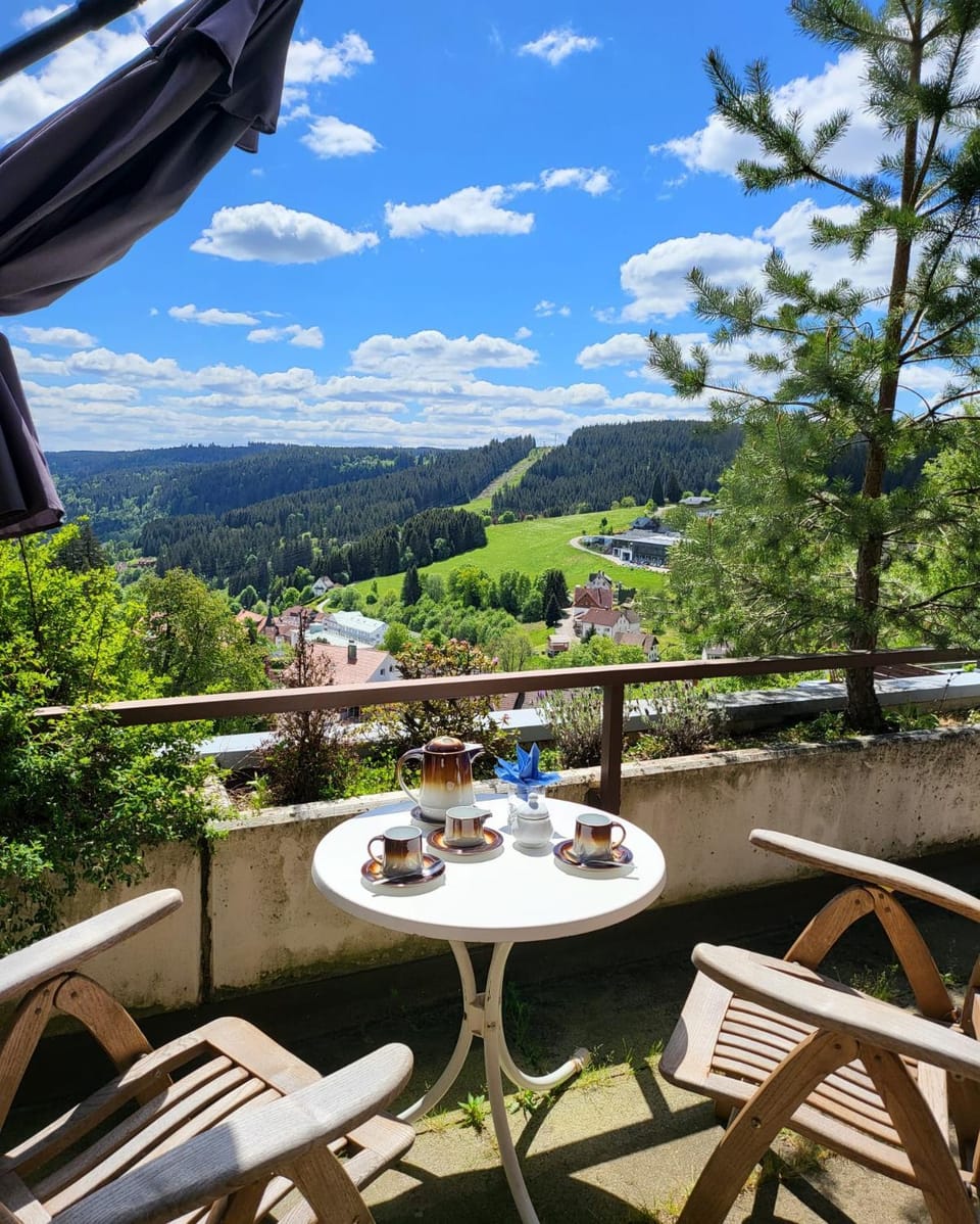 Deck-Apartment, next to forest, top of mountain, free parking, renovated Apartment in Baden-Württemberg