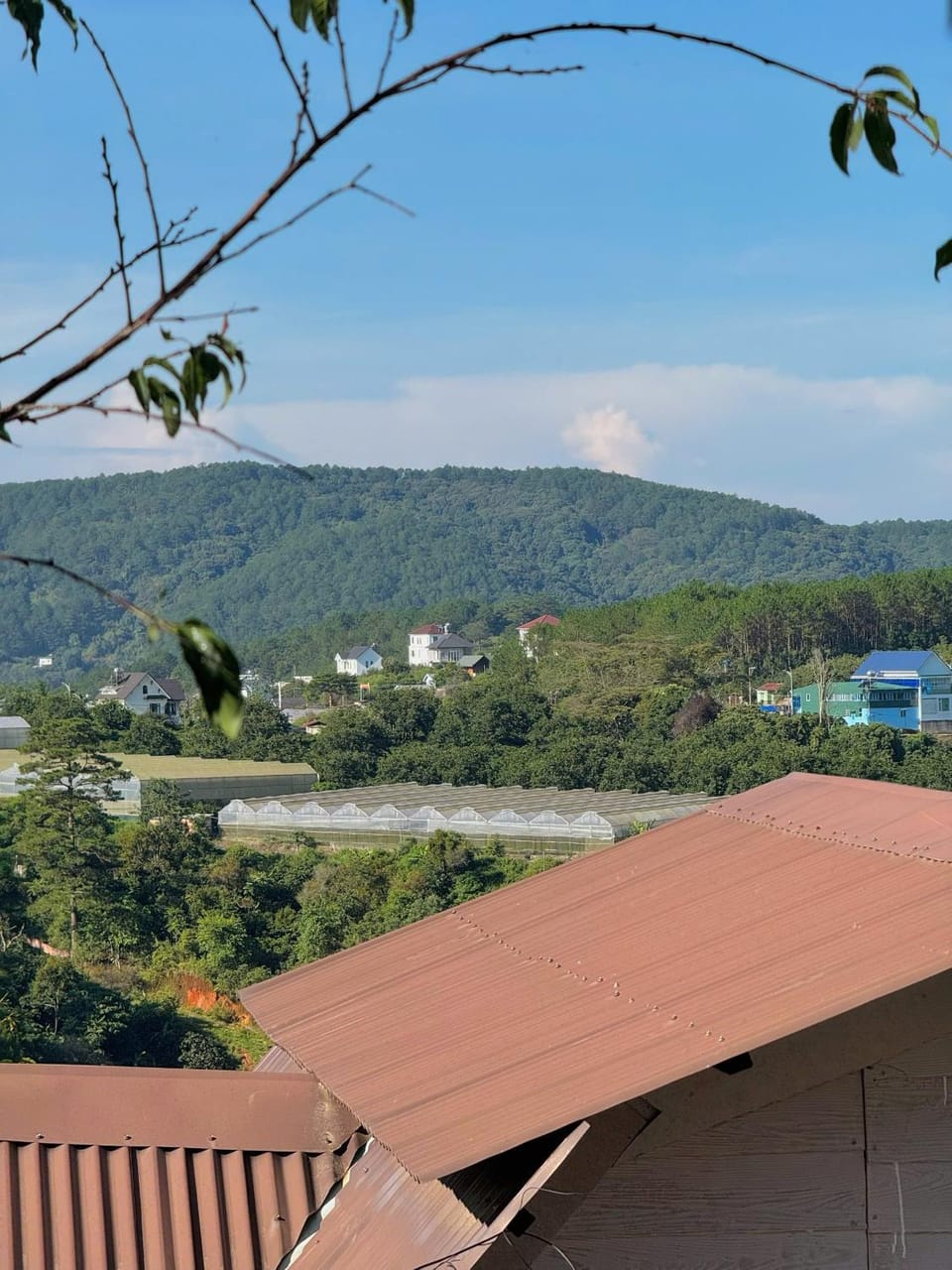 Nhà Dưới Đồi Homestay Apartment in Dalat