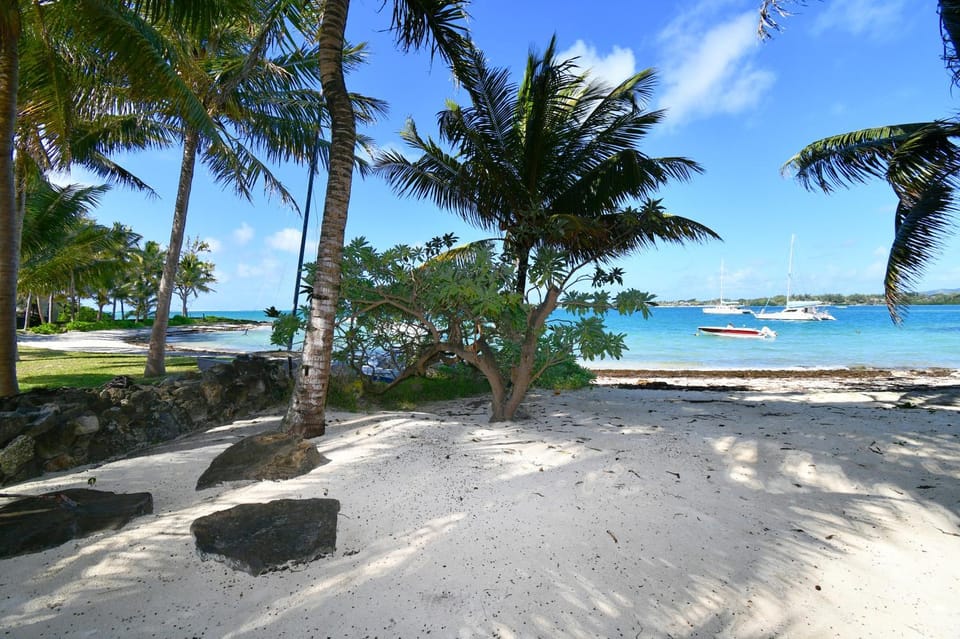 Garden, Sea view
