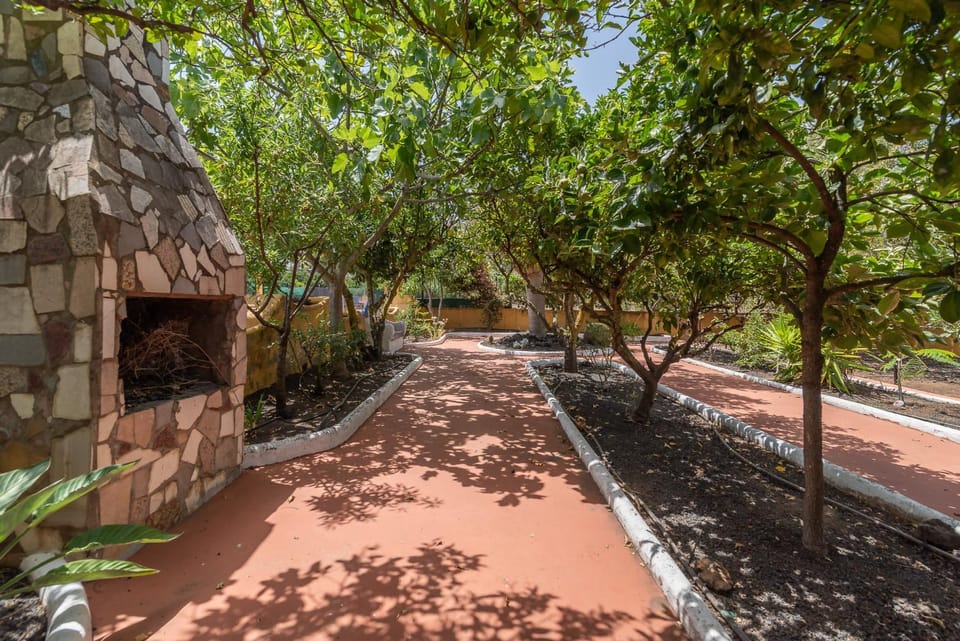 Natural landscape, Garden, Garden view