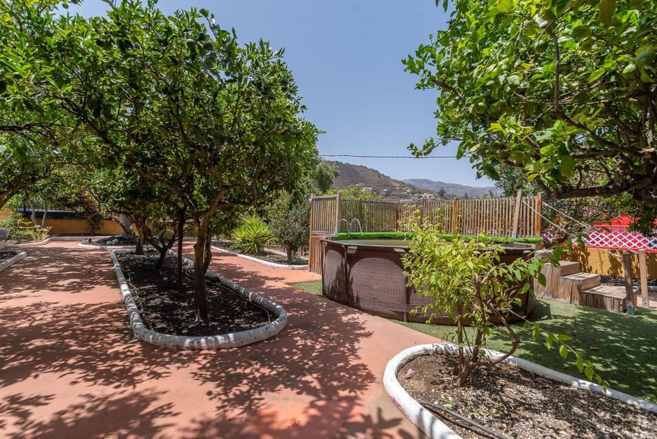 Natural landscape, Garden, Garden view, Mountain view