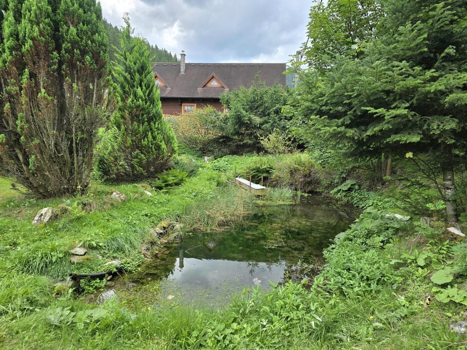 Garden, Garden, Garden view, Lake view
