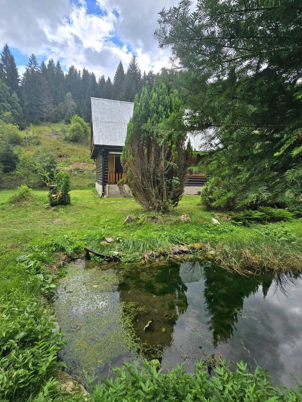 Property building, Natural landscape, Garden, Lake view