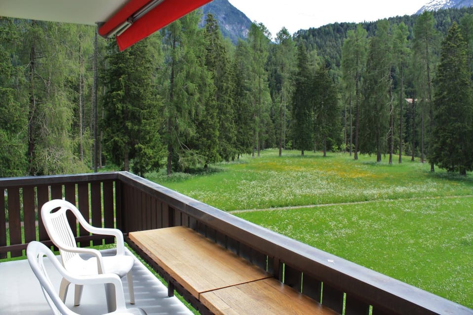 Summer, Garden view