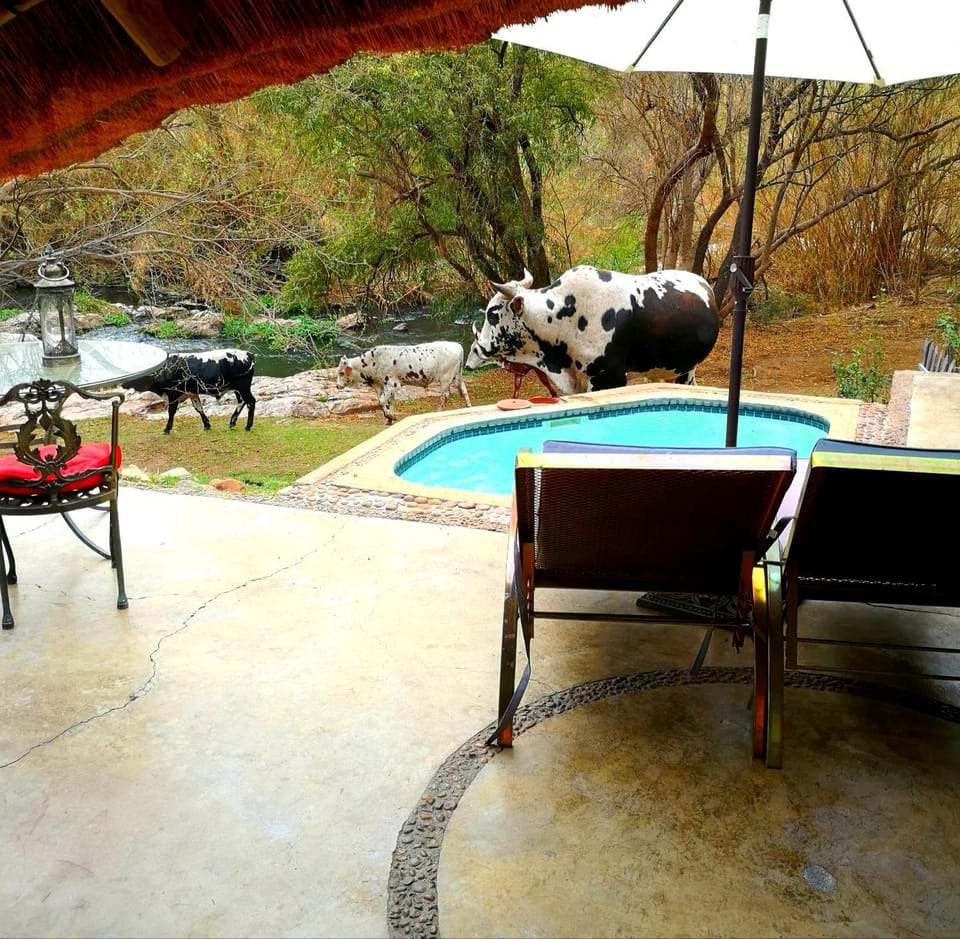 Pool view, River view, River view, Swimming pool