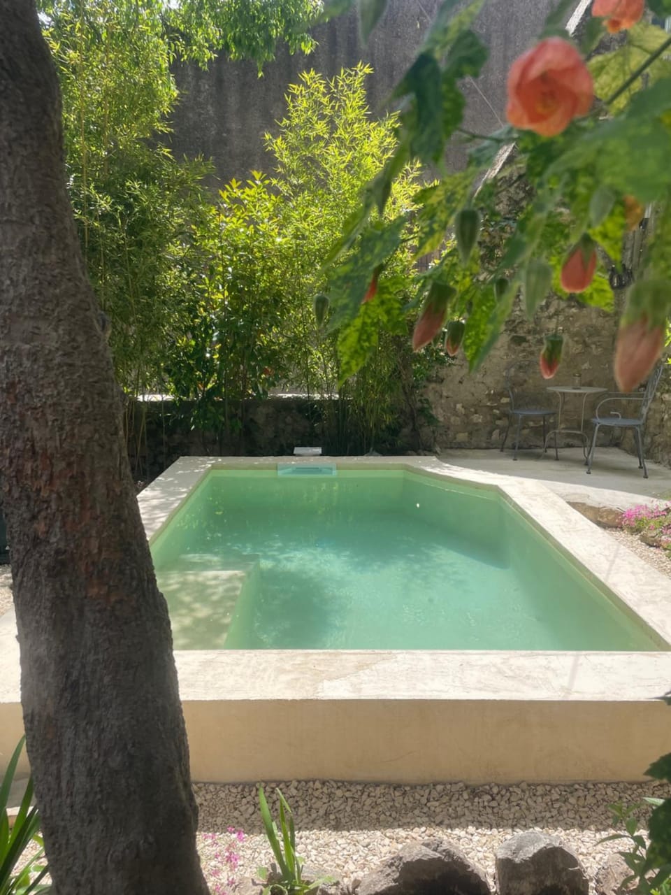 Maison Felisa Bed and Breakfast in Occitanie