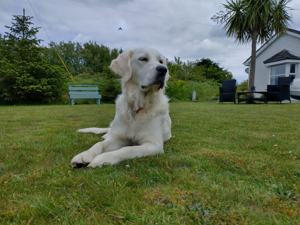 Windy Heights Bed and Breakfast in Ireland