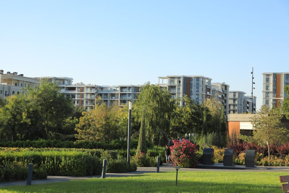 Day, Natural landscape, Garden view