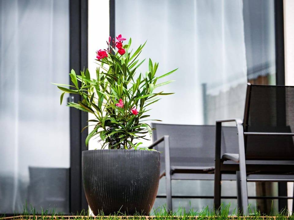 Panorama Luxury House Apartment in Saxony