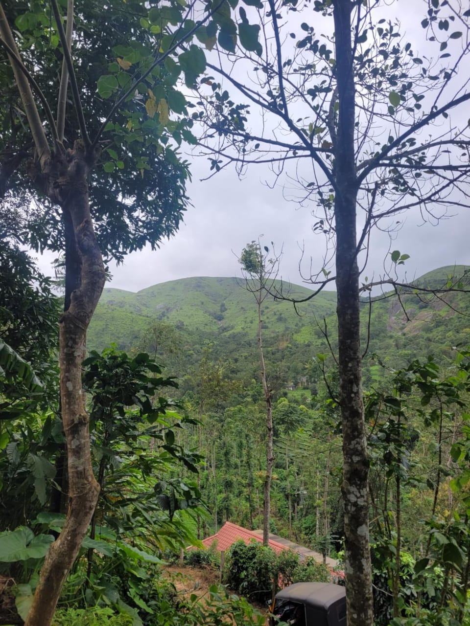 Mystic Heaven House in Kerala