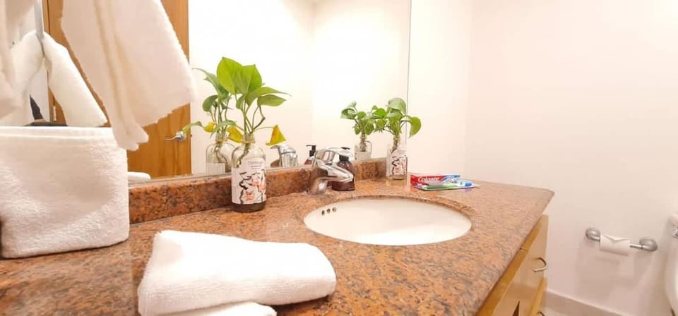 City Skyline View King bed Top Location Comfortable House in Mexico City