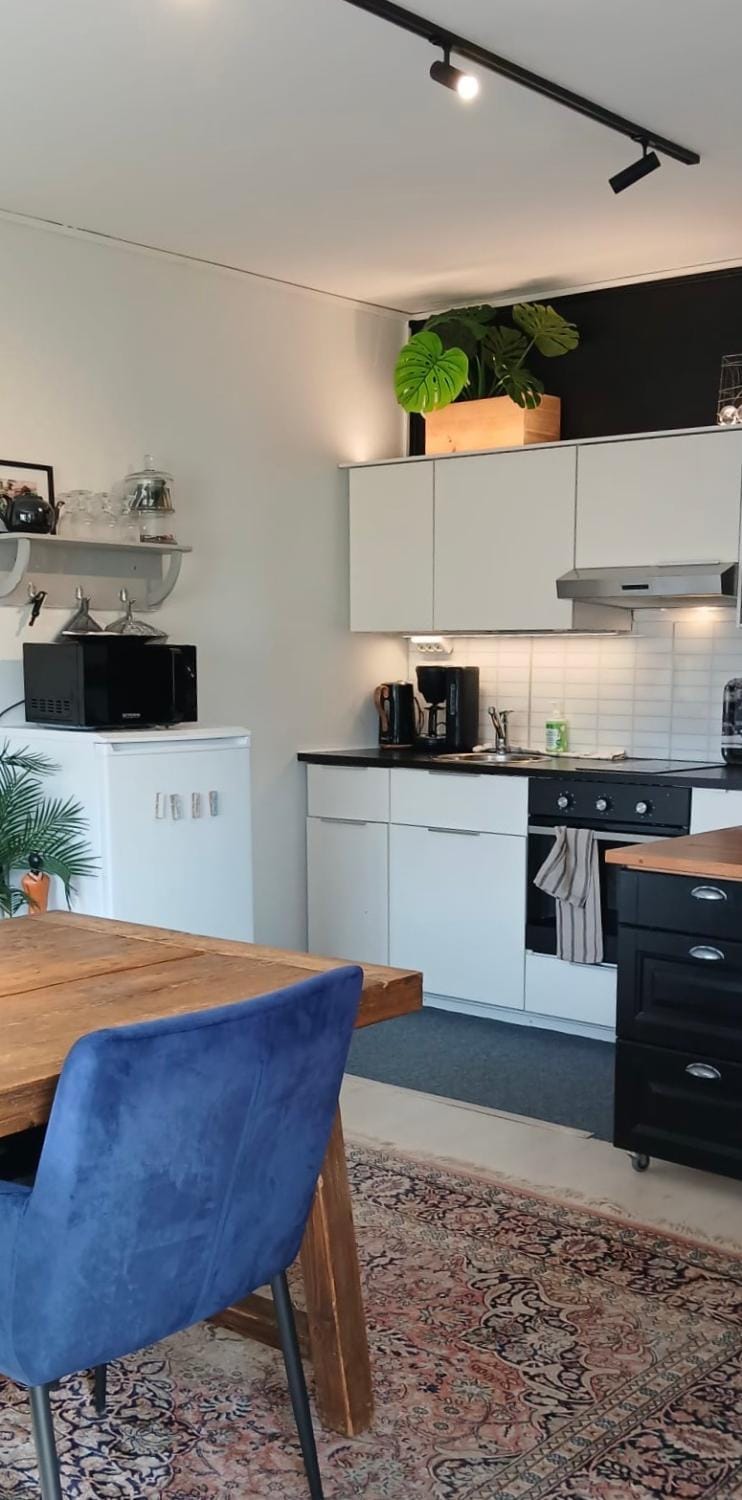 Lahti, Kodikkaat tehoneliöt Apartment in Finland